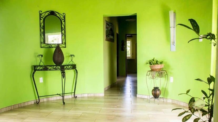 הוילה וילמסטאד Kadushi Estate מראה חיצוני תמונה