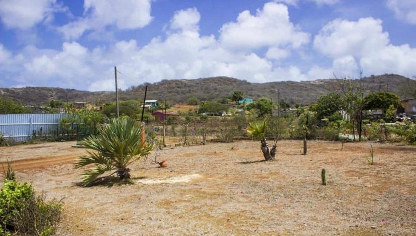 הוילה וילמסטאד Kadushi Estate מראה חיצוני תמונה